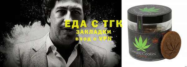 дживик Инта