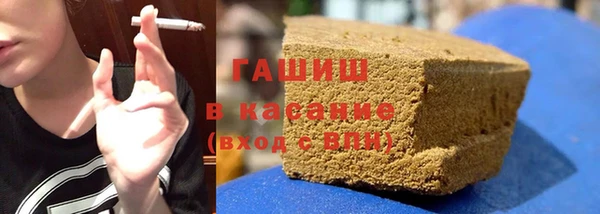 дживик Инта