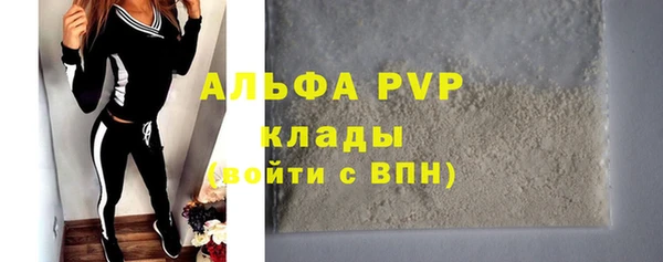 дживик Инта