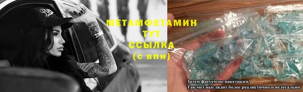 дживик Инта