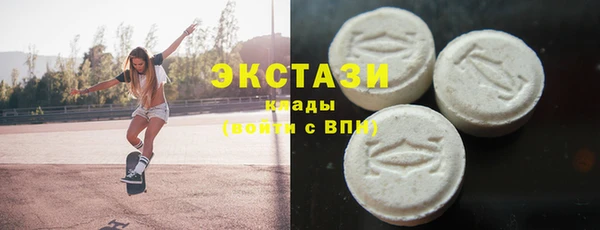 дживик Инта
