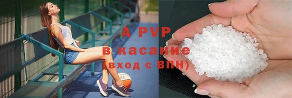 дживик Инта