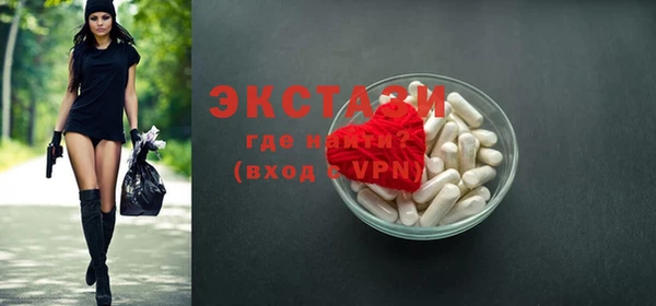 дживик Инта
