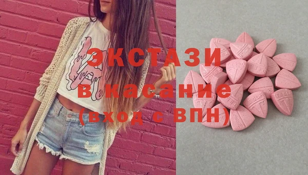 дживик Инта