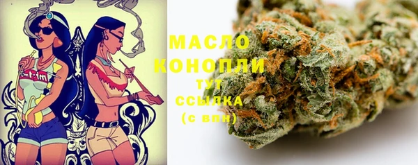 дживик Инта