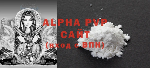 дживик Инта