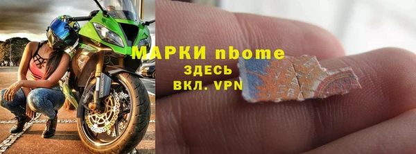 дживик Инта