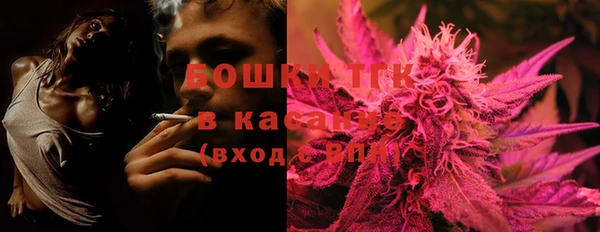 дживик Инта