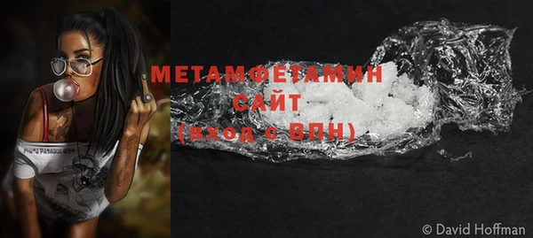 дживик Инта