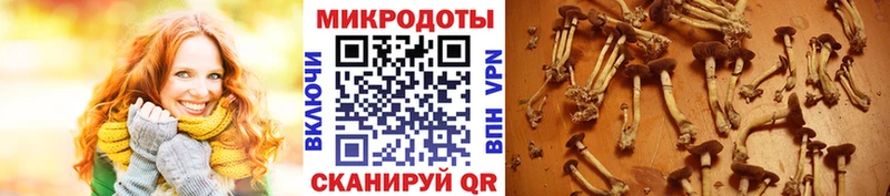 Псилоцибиновые грибы MAGIC MUSHROOMS  Купить где  Минусинск 